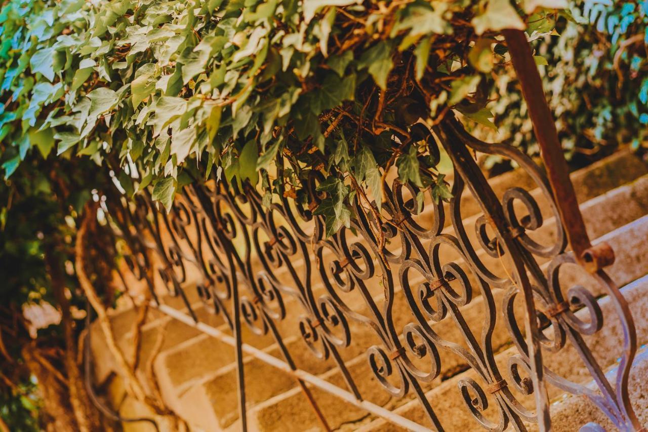 Vila Stiavnica Banská Štiavnica エクステリア 写真
